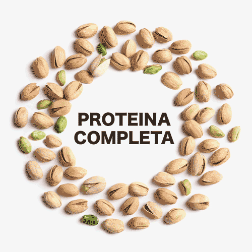 Proteina Completa